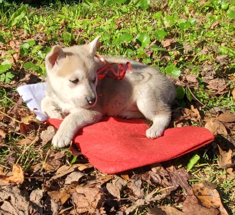 20201209_134328.jpg
