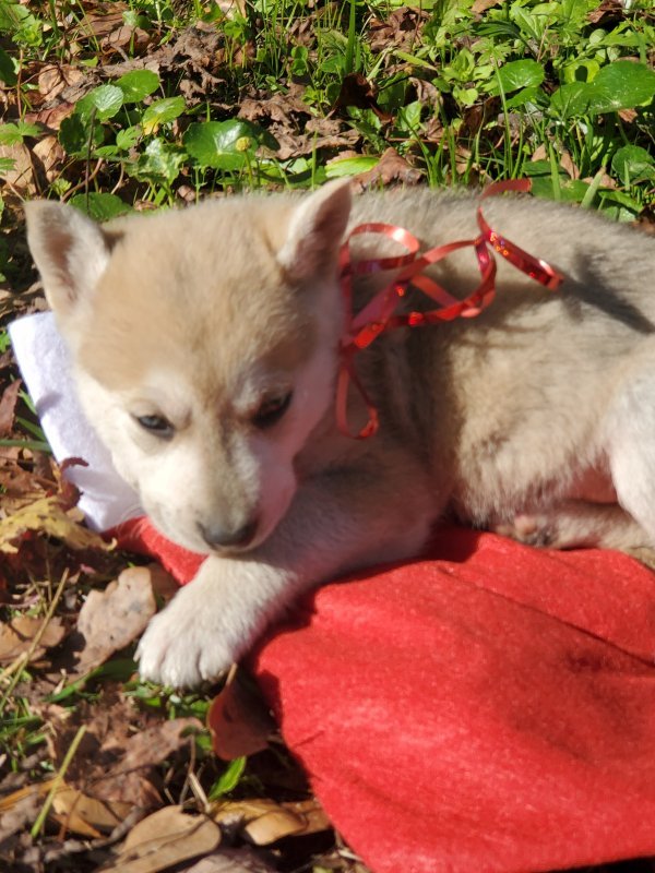 20201209_133815.jpg