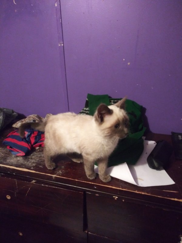 20201219_070538.jpg