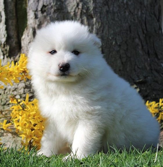 clancy..-562x577.jpg