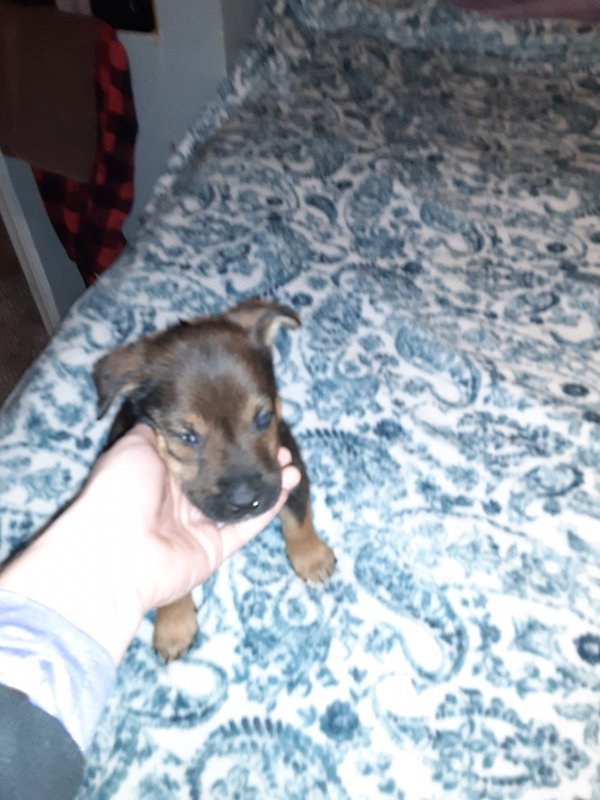 20201226_135437.jpg