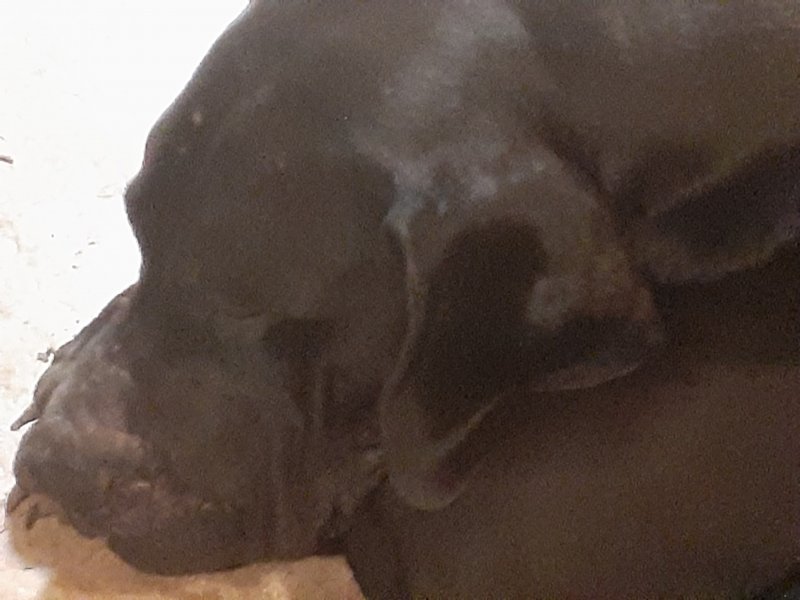 20201226_173826.jpg