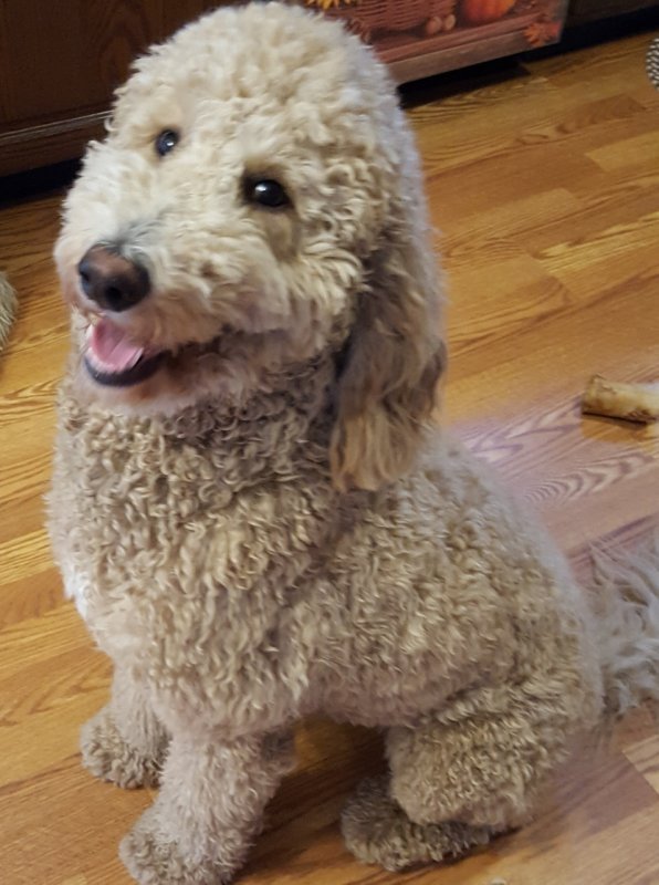 bella 3.jpg
