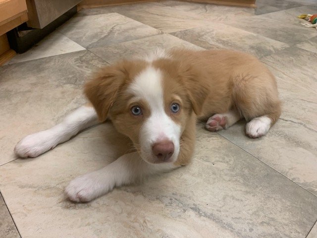 bella 3.jpg