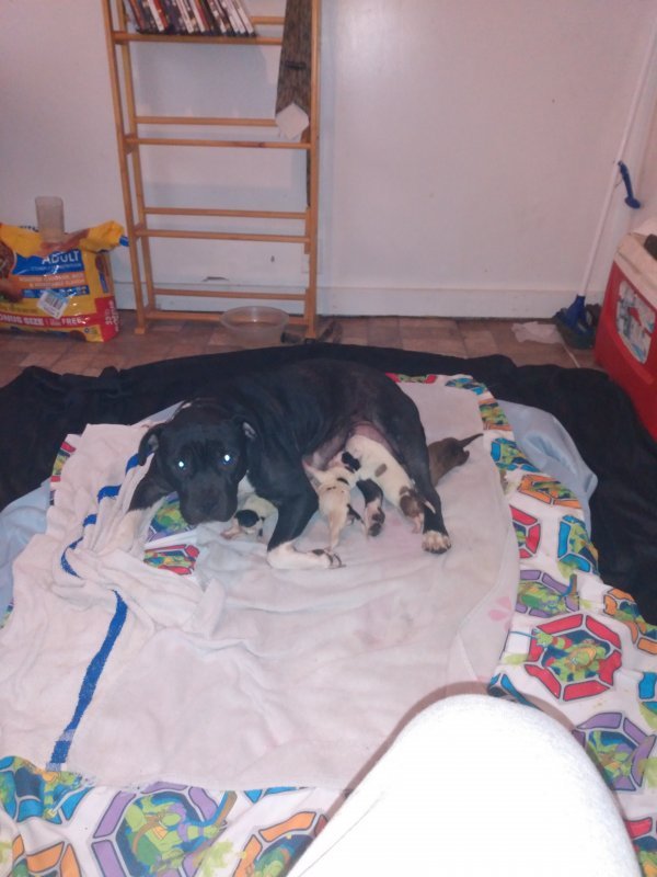 IMG_20201217_121027418.jpg