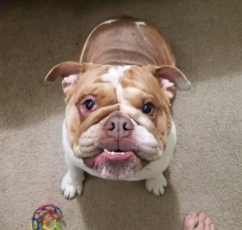 20201229_222105.jpg