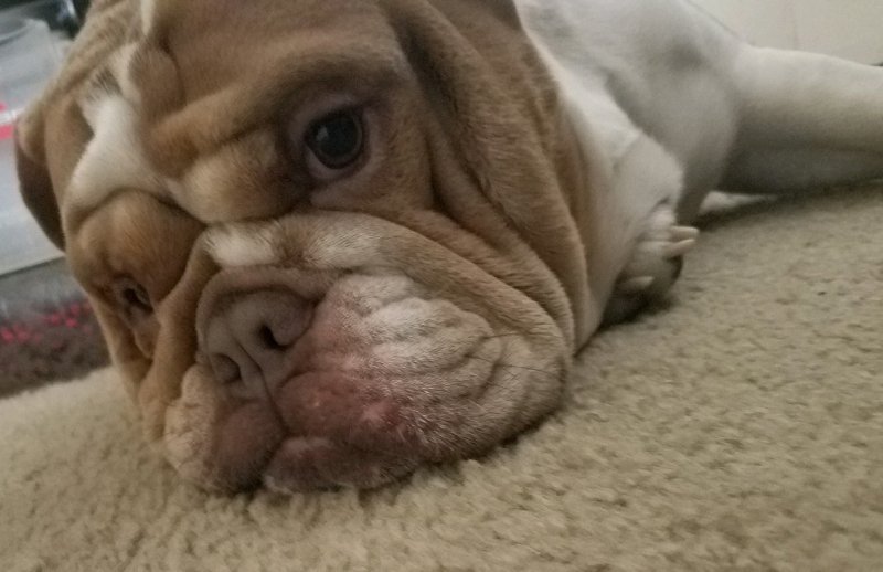 20201229_223650.jpg