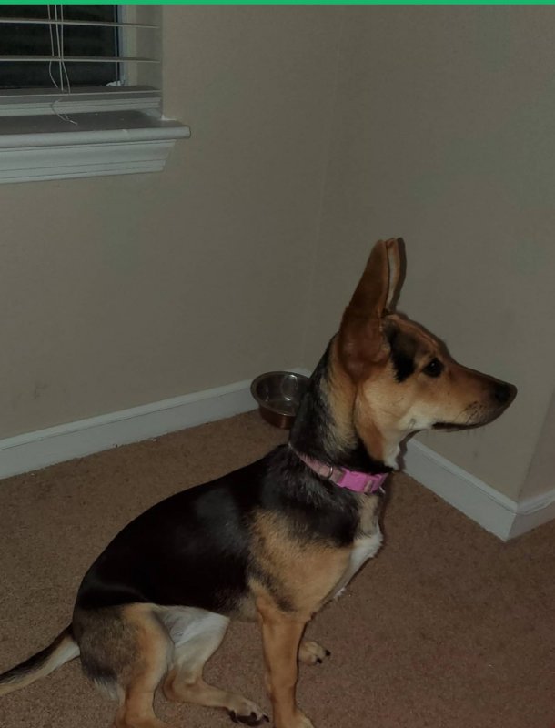 20201228_135421.jpg
