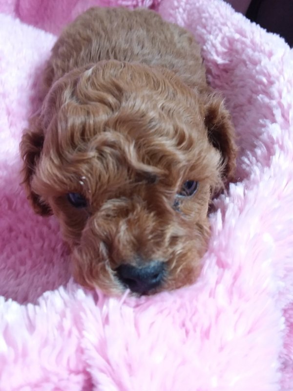 Cher1month.jpg