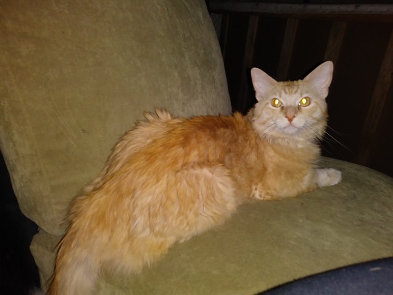 20190714_123916.jpg