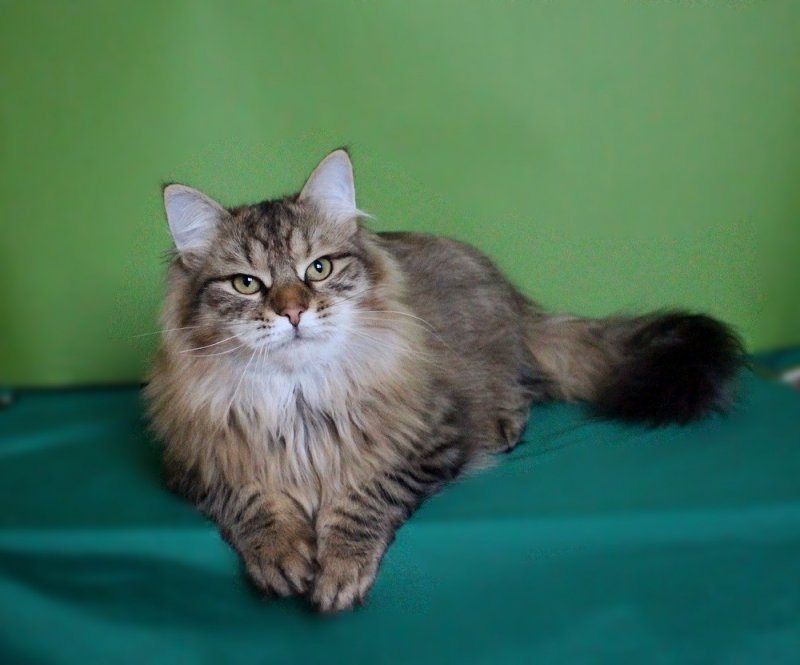 photofacefun_com_1511978127.jpg