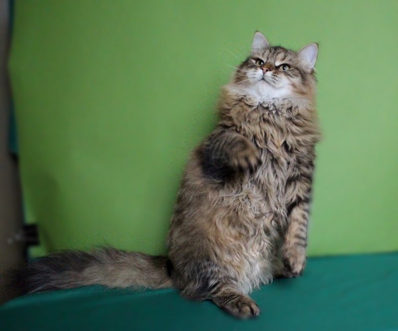 photofacefun_com_1511978673.jpg