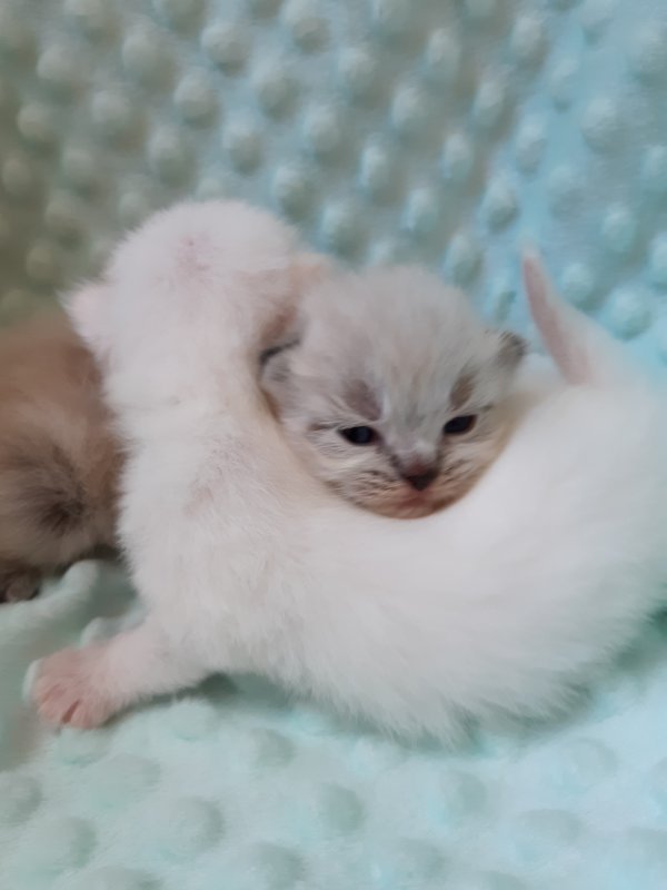 20190717_150433.jpg