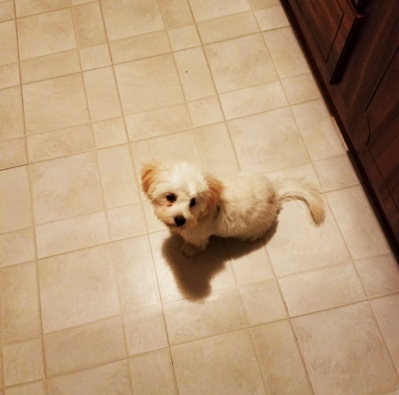 LEO PIX 1.jpg