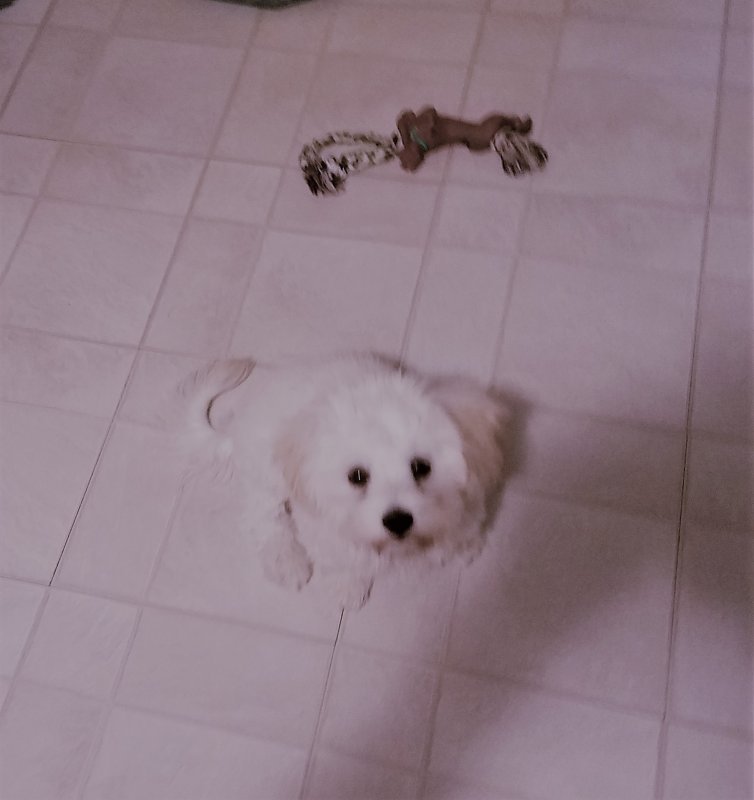 LEO PIX 2.jpg