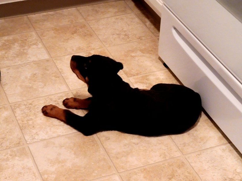 20210112_171253.jpg