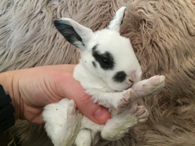 bun.JPG