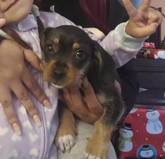 bella 3.jpeg