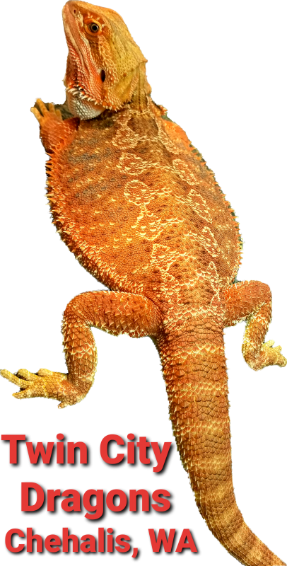20201227_223059.png 20201227_223059.png