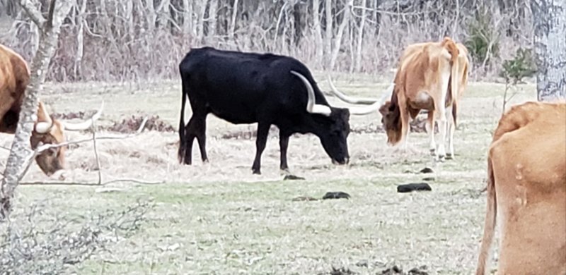 20210119_181153.jpg 20210119_181153.jpg