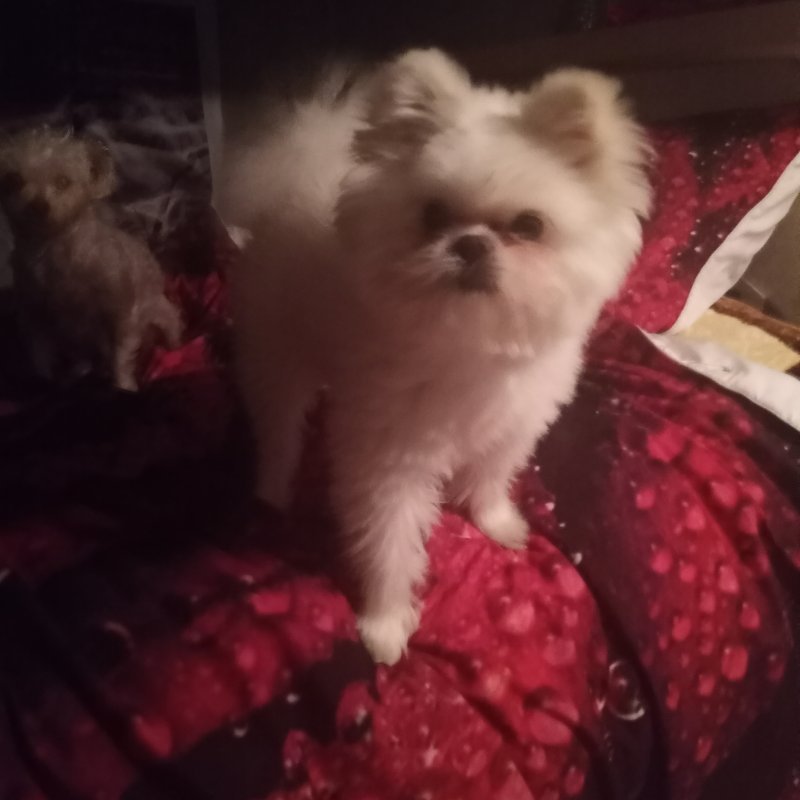 20201229_182720.jpg