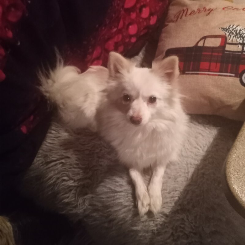 20201229_182651.jpg