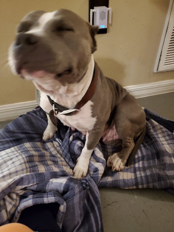 20201216_163316.jpg