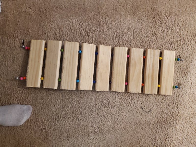 20210206_202207.jpg