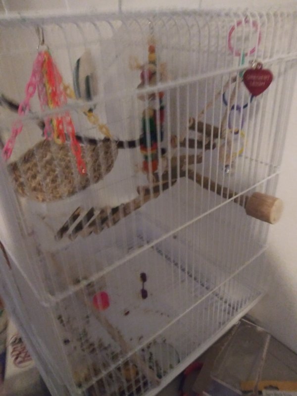 20210217_161217.jpg