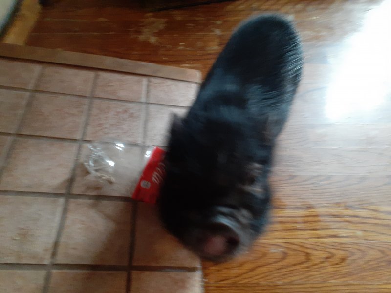 20201217_121107.jpg 20201217_121107.jpg