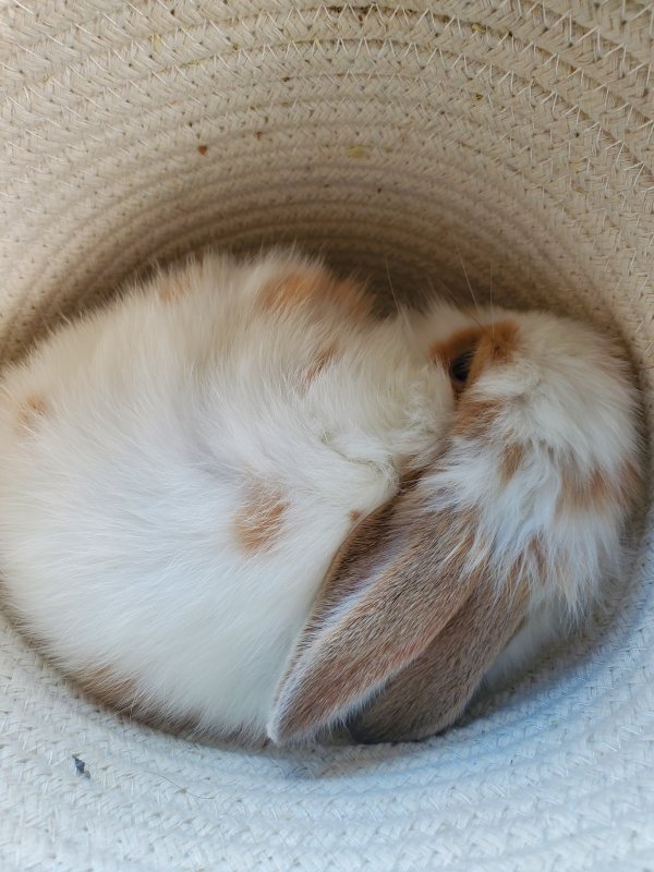 20201227_151041.jpg