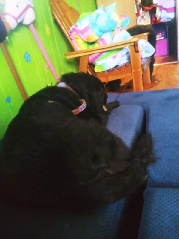 20201103_152014.jpg