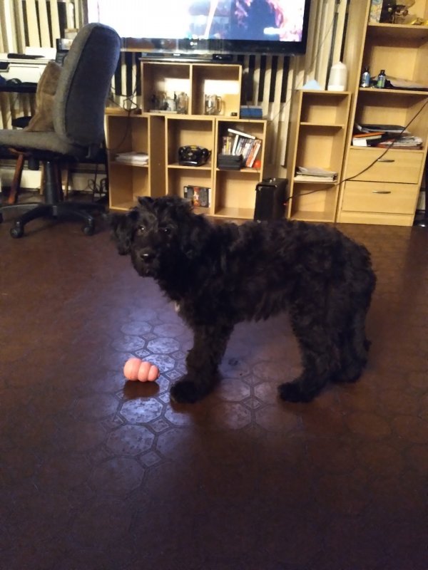 20201121_183538.jpg