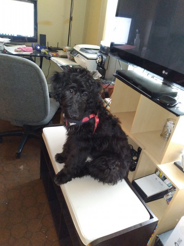 20201226_142449.jpg