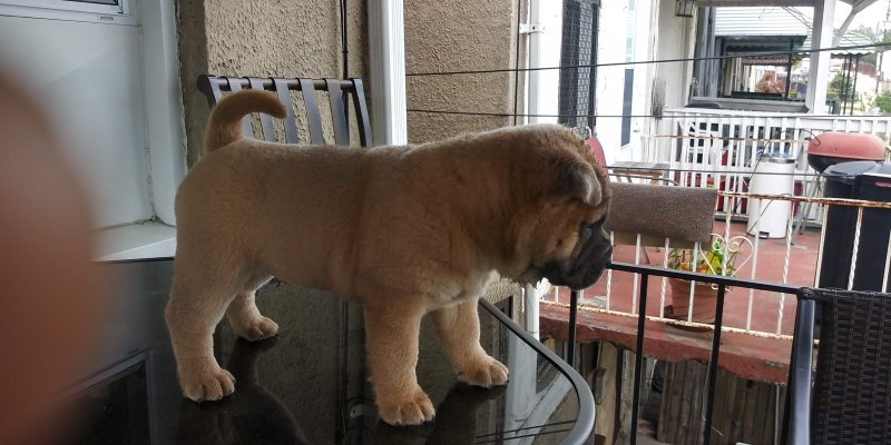 20190428_143109_HDR.jpg