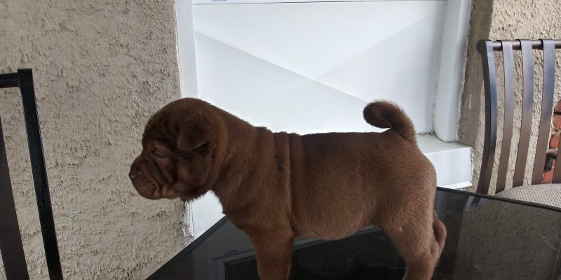 20190428_143156_HDR.jpg