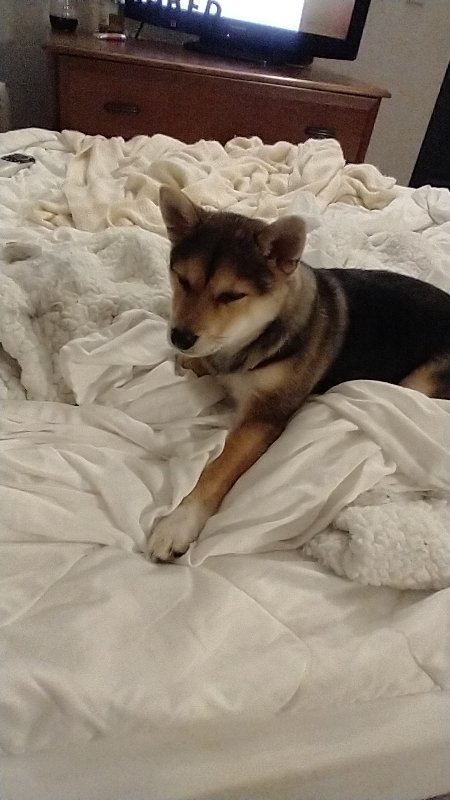IMG-20210305-WA0003.jpeg