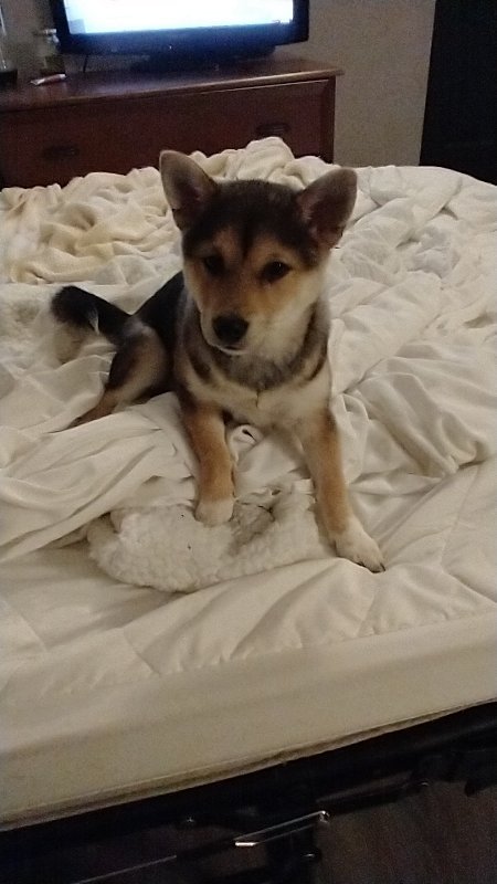 IMG-20210305-WA0000.jpeg