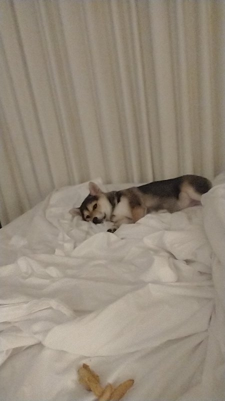 IMG-20210302-WA0003.jpeg