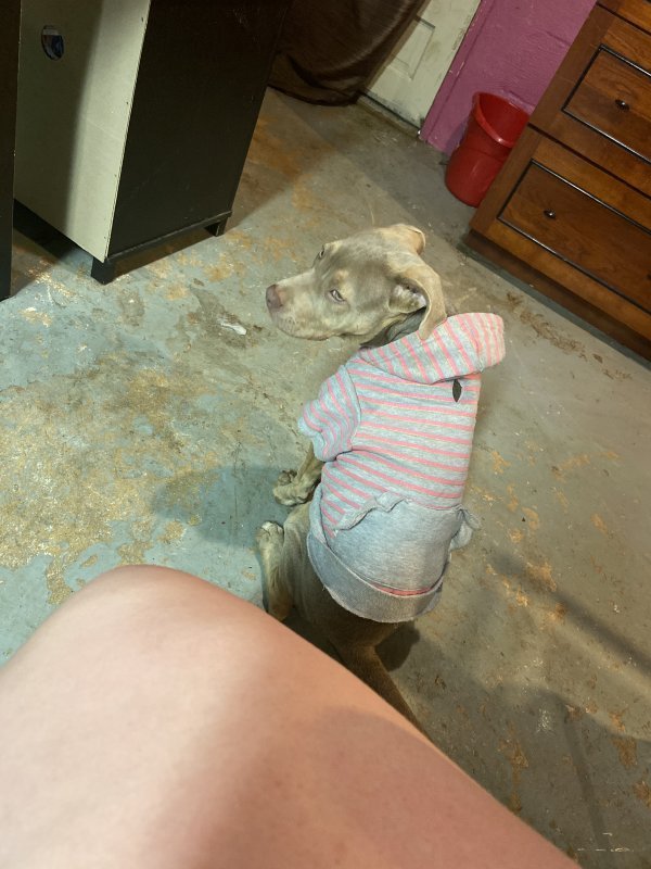C6DC0877-67E2-45F9-9531-041042CBBF73.jpeg