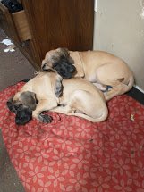 IMG_20210304_134428676.jpg