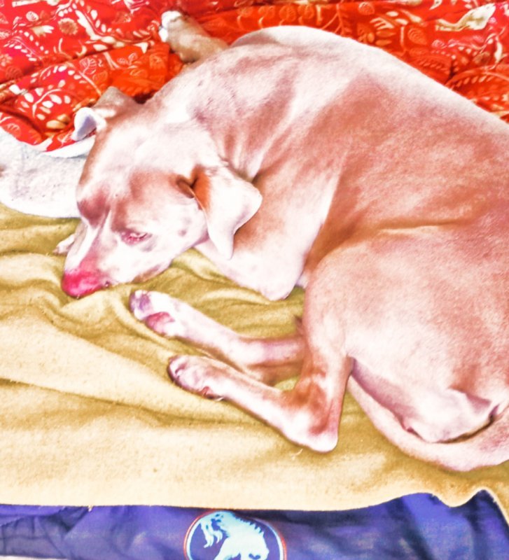 PicsArt_03-02-12.53.17.jpg
