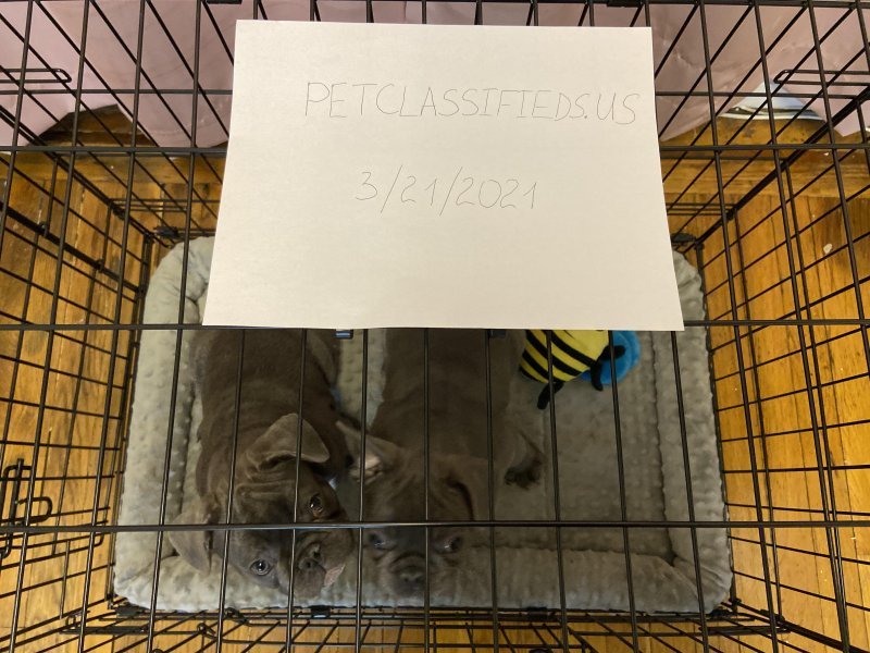 verification.jpg