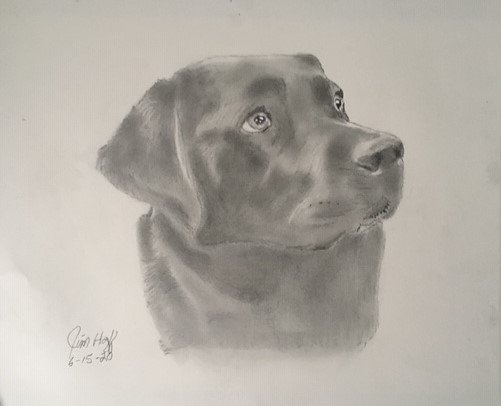 Black Lab.jpg