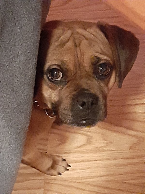 20191209_202923.jpg