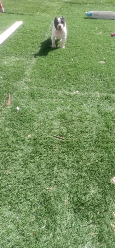 20210402_105202.jpg