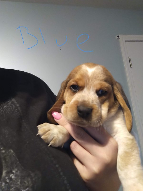 received_3083097208586059.jpeg