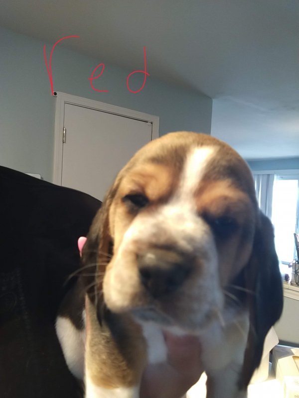 received_2975225186090474.jpeg