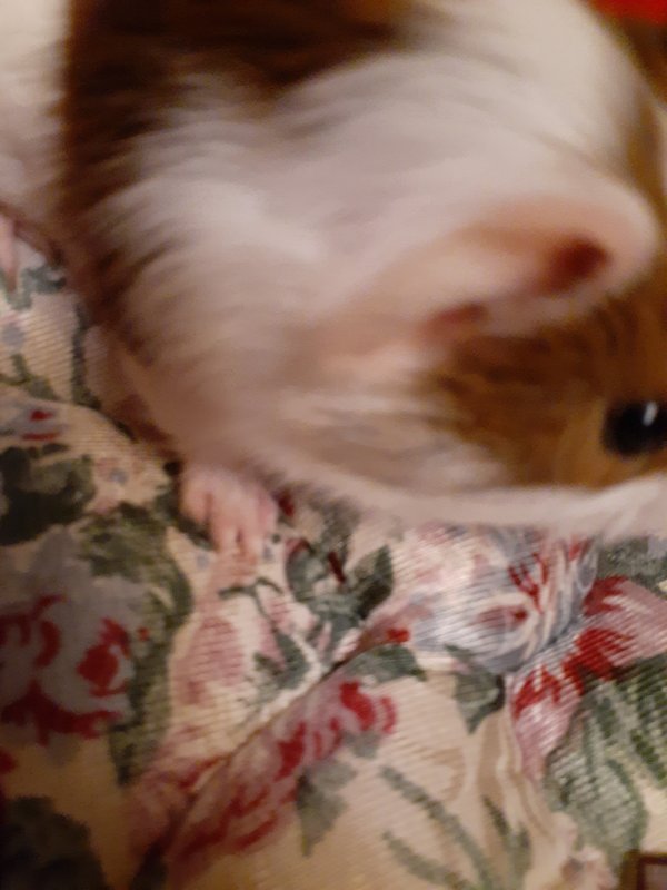 20210506_092322.jpg