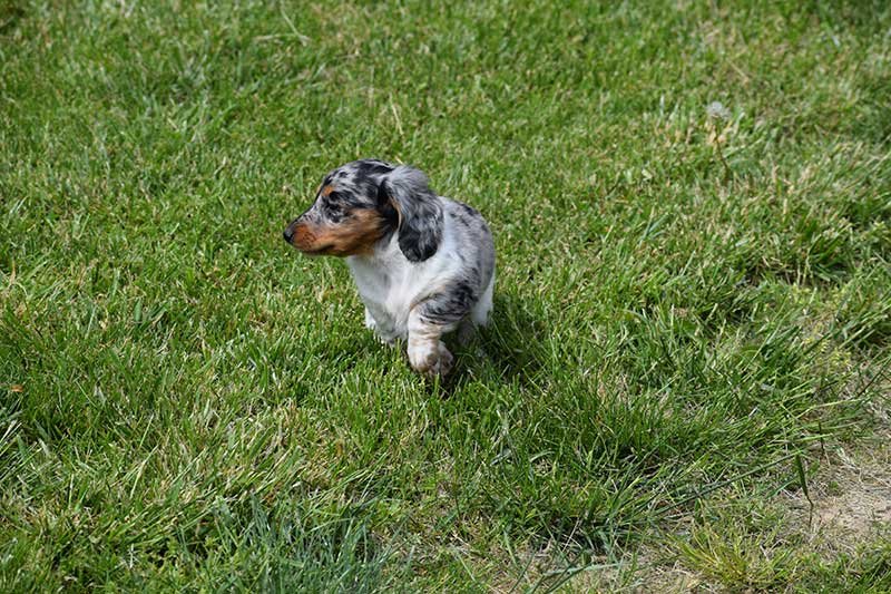 DSC_0605.jpg